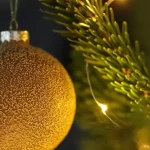 como-elegir-el-arbol-de-navidad-vivo-perfecto-para-el.webp.webp
